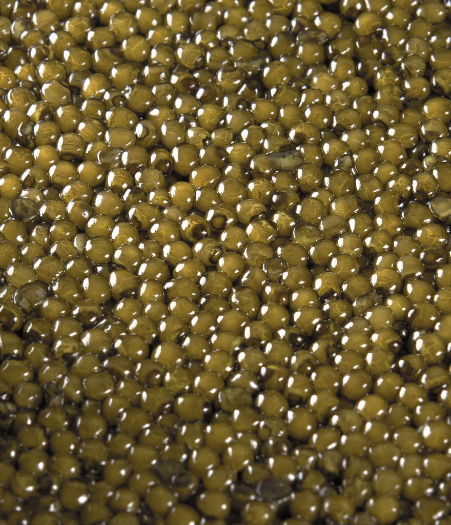 Caviar hybride Acipenser Schrenkii x Huso Dauricus- 50g - Origine Chine