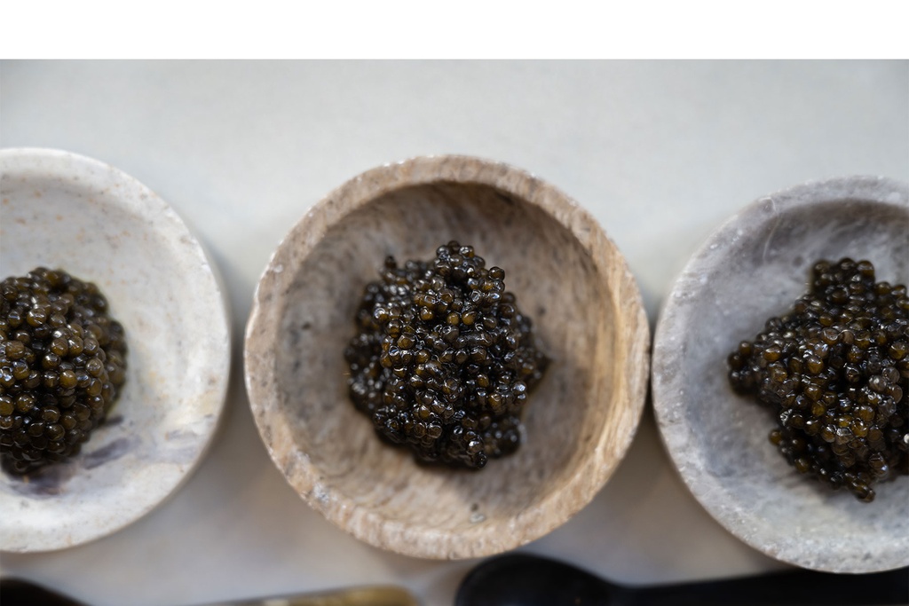Caviar Baeri Sélection - 100g - Origine Italie