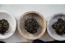 Caviar Baeri Sélection - 100g - Origine Italie