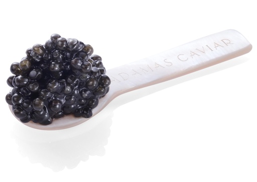 [MMACC01] Cuillère en nacre pour caviar